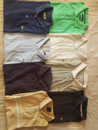 Lote 8 polos Lacoste, Massimo Dutti, burberry