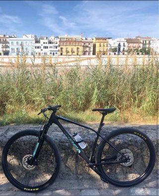Orbea Alma H50