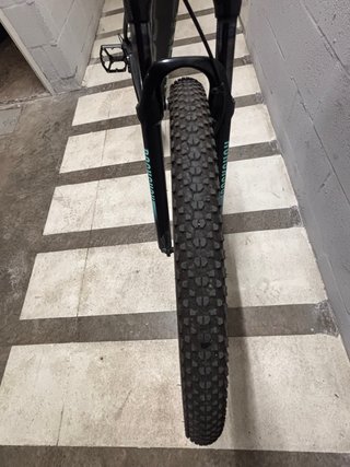 Orbea Alma H50