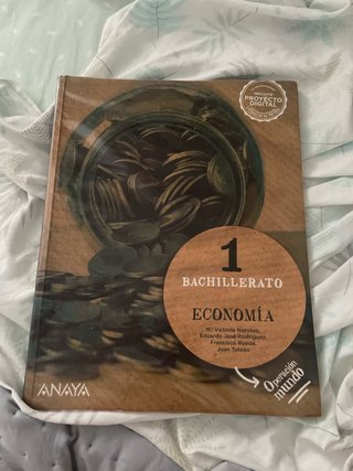 Economía 1 Bachillerato
