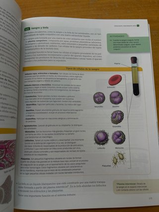 Biología y Geología 1 Bachillerato : Serie Obse...