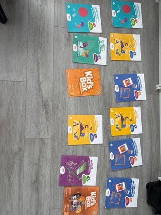 Libros 3 de primaria