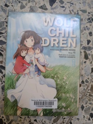 Mangas y libros comunes
