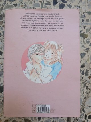 Mangas y libros comunes