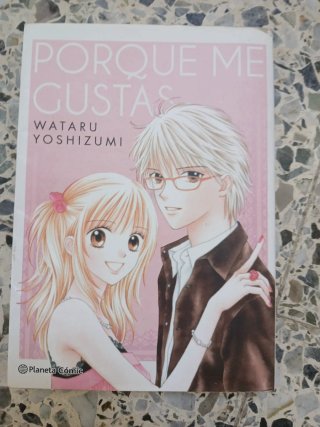 Mangas y libros comunes