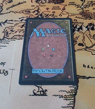 CARTA MAGIC - DINGUS STAFF