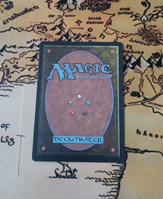 CARTA MAGIC - DINGUS STAFF