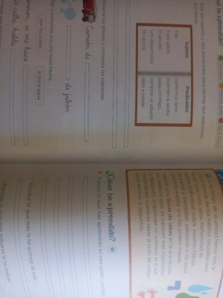 Lengua 2 primaria