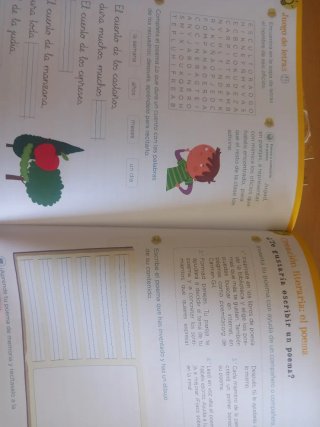 Lengua 2 primaria
