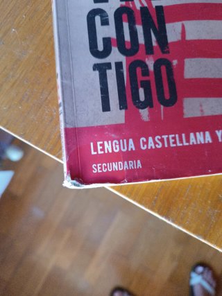 Lengua castellana y literatura 2 Secundaria