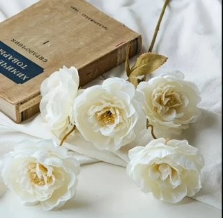 20 Flores Artificiales Beige y Blancas