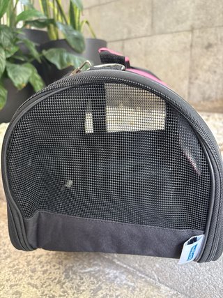 Transportín para gatos negro y rosa