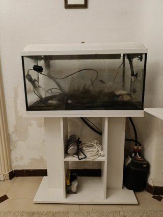 Pecera con filtro y mueble blanco