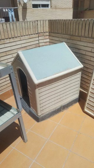 Caseta para perro de plástico beige y azul