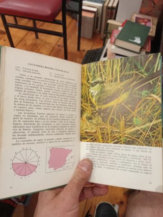 Pájaros de nuestros campos y bosques