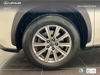 Lexus NX300H BUSINESS 2020 REF 0270