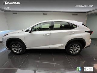 Lexus NX300H BUSINESS 2020 REF 0270
