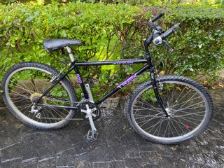 Bicicleta Trek Antelope 820 Montagna