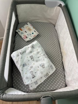 Cuna moisés bebé gris