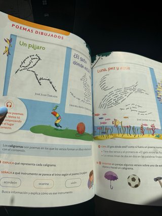 Libro lengua castellana 3PRIMARIA Santillana