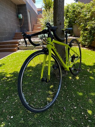 Bicicleta Cannondale Synapse Talla 44
