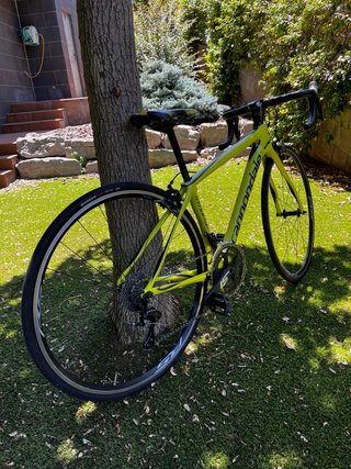 Bicicleta Cannondale Synapse Talla 44