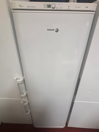 Congelador Fagor Vertical 185cm