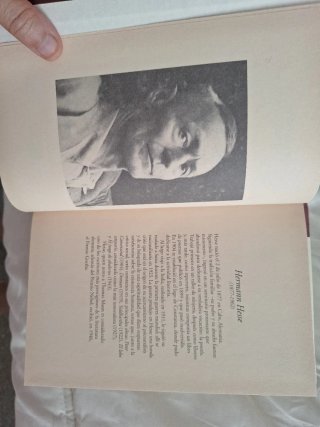 Relatos esenciales Siddhartha El lobo estepario.