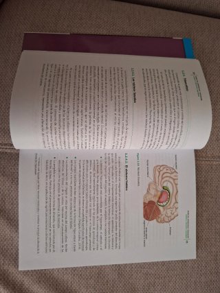 Bases del aprendizaje y educación
