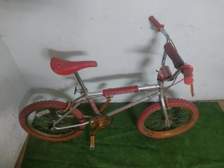 BH CALIFORNIA STAR