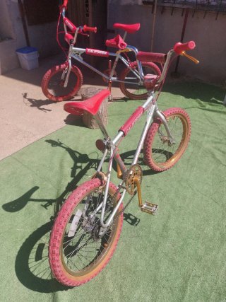 BH CALIFORNIA STAR
