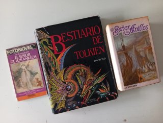 Lote El Señor de Los Anillos Tolkien