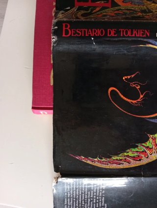 Lote El Señor de Los Anillos Tolkien