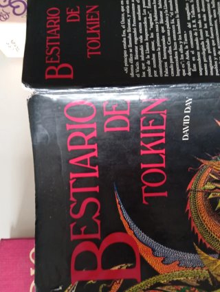 Lote El Señor de Los Anillos Tolkien