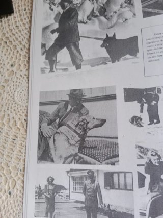 Revista Cedade antigua 1975 .