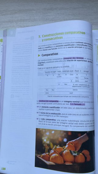 Lengua y Literatura 2 bachillerato