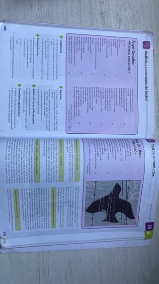 Lengua y Literatura 2 bachillerato