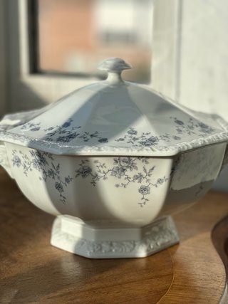 Sopera Rosenthal Classic Rose Azul