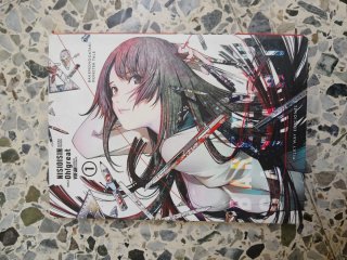 Mangas, libros y merchandise