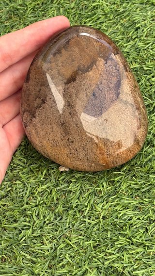 Cuarzo Chamánico Lodolita 420g