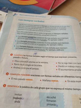 Lengua Castellana y Literatura, 4 Primaria, Moc...