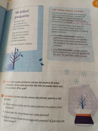 Lengua Castellana y Literatura, 4 Primaria, Moc...