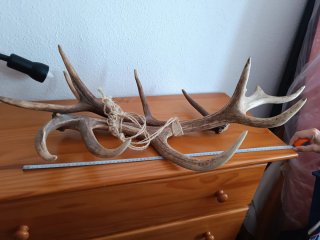 Astas de resina decorativas