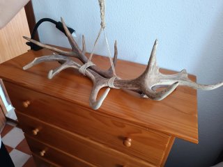 Astas de resina decorativas
