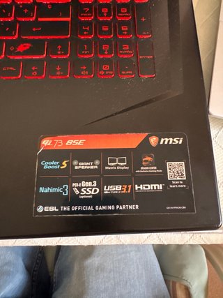 MSI GL73 8SE Gaming Laptop