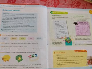 Lengua Castellana y Literatura, 4 Primaria, Moc...