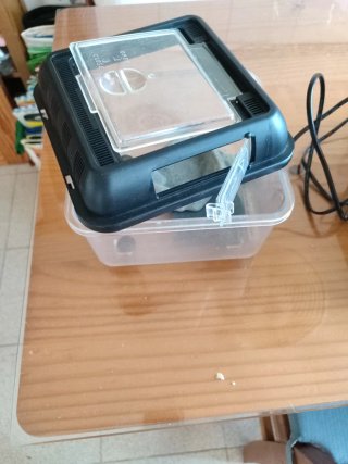 Terrario pequeño con bebedero y placa térmica.