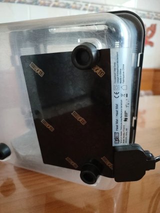 Terrario pequeño con bebedero y placa térmica.