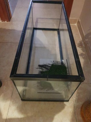 Acuario Peces/Tortugas Negro y Transparente
