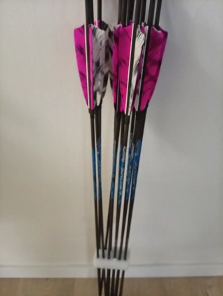 12 frecce in carbonio spine 800 da 32 pollici